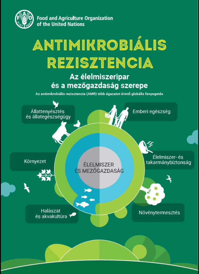 Tájékoztató Antimikrobiális rezisztencia 2024